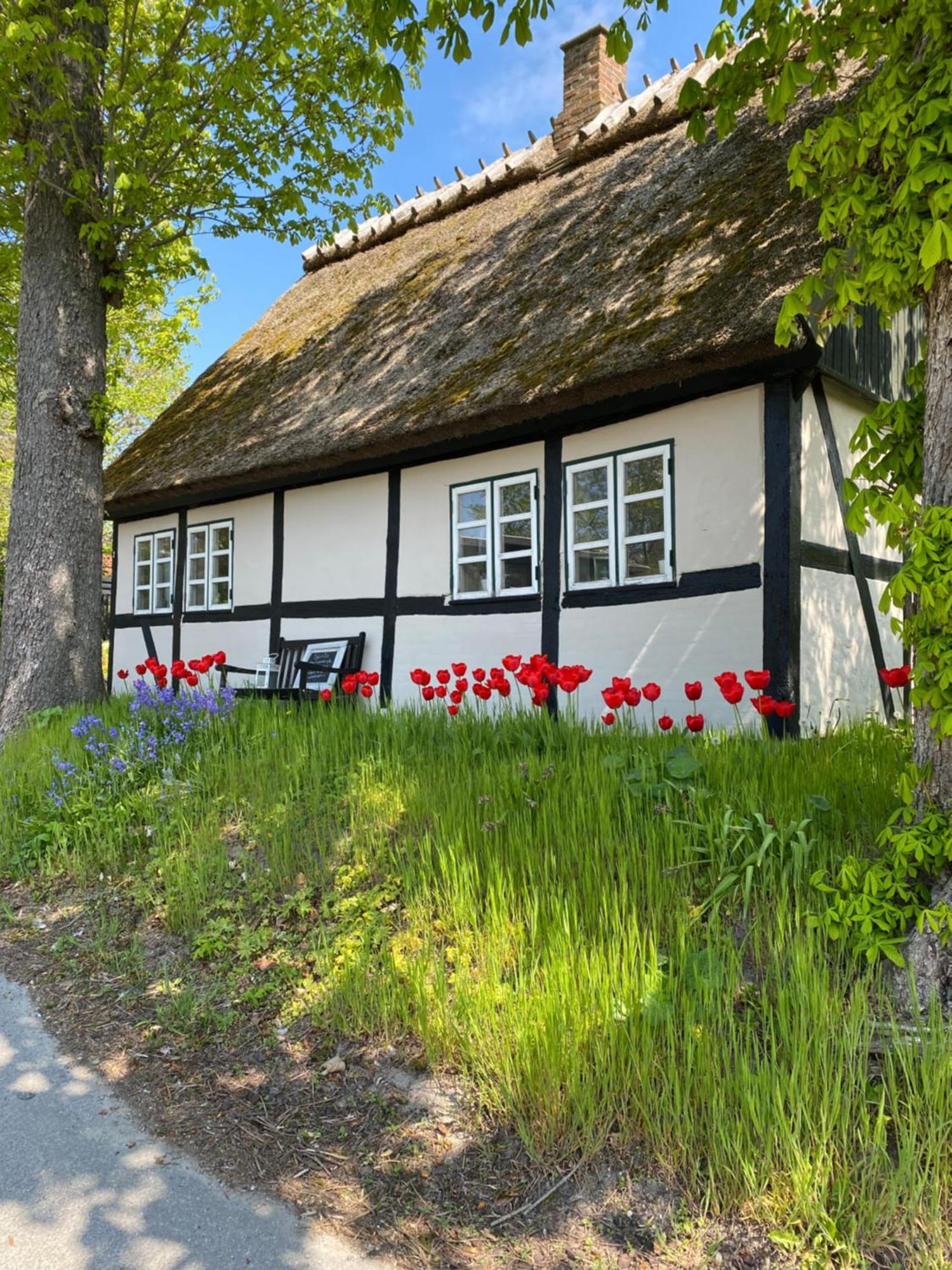 Sofie's Hus - Munkgaard * Harlev (Stevns)